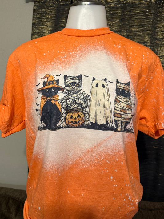 Spooky cats