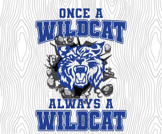 ONCE A WILDCAT